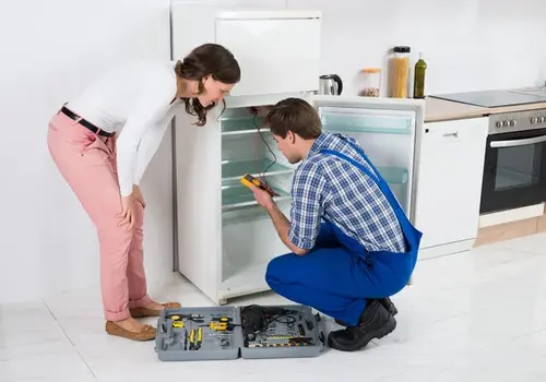 Fridge Repair